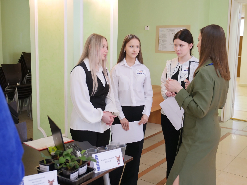 Марафон проектов.