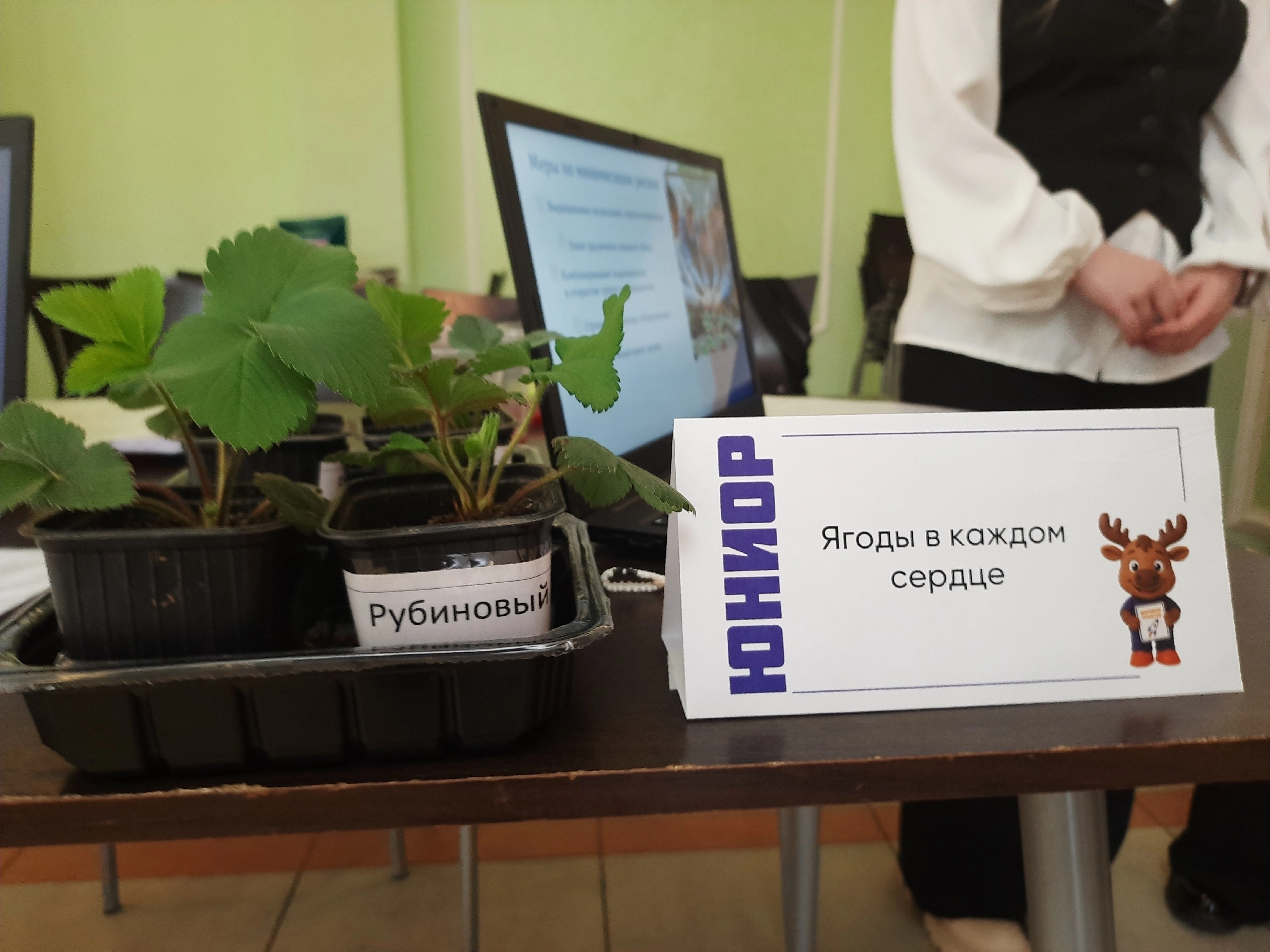 Марафон проектов.